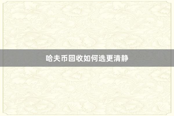 哈夫币回收如何选更清静