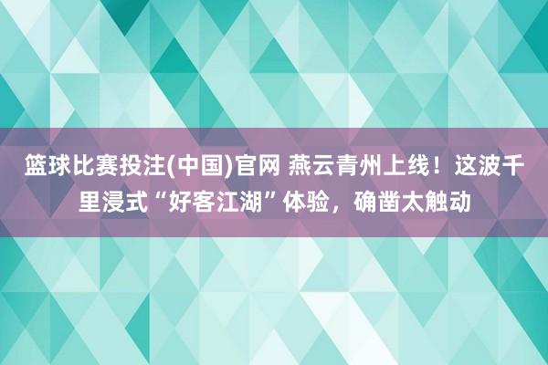 篮球比赛投注(中国)官网 燕云青州上线！这波千里浸式“好客江湖”体验，确凿太触动