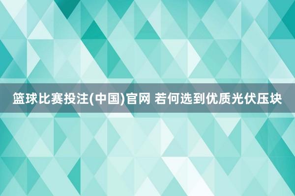 篮球比赛投注(中国)官网 若何选到优质光伏压块