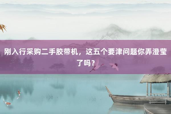 刚入行采购二手胶带机，这五个要津问题你弄澄莹了吗？