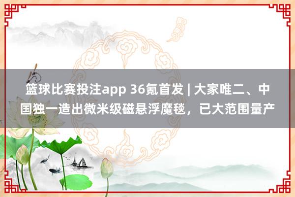 篮球比赛投注app 36氪首发 | 大家唯二、中国独一造出微米级磁悬浮魔毯，已大范围量产