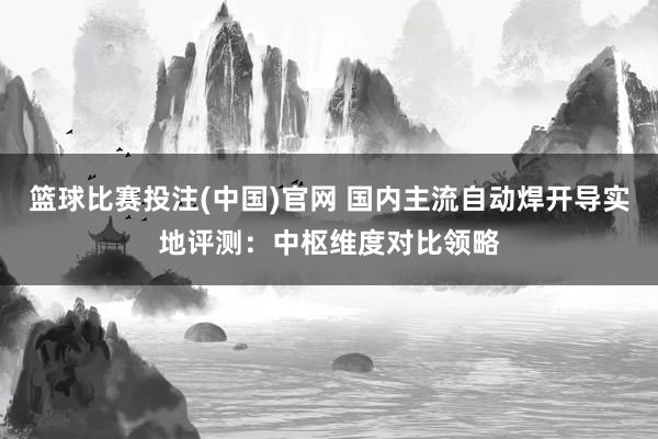 篮球比赛投注(中国)官网 国内主流自动焊开导实地评测：中枢维度对比领略