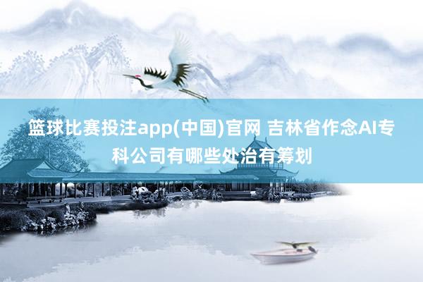 篮球比赛投注app(中国)官网 吉林省作念AI专科公司有哪些处治有筹划
