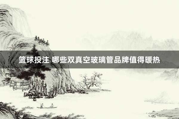 篮球投注 哪些双真空玻璃管品牌值得暖热