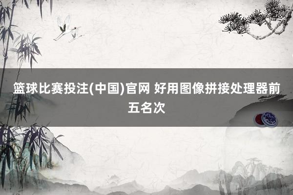 篮球比赛投注(中国)官网 好用图像拼接处理器前五名次