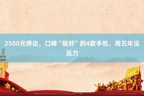 2500元傍边，口碑“极好”的4款手机，用五年没压力