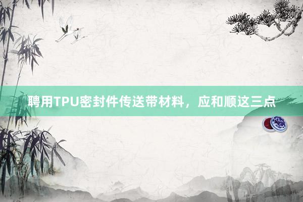 聘用TPU密封件传送带材料，应和顺这三点