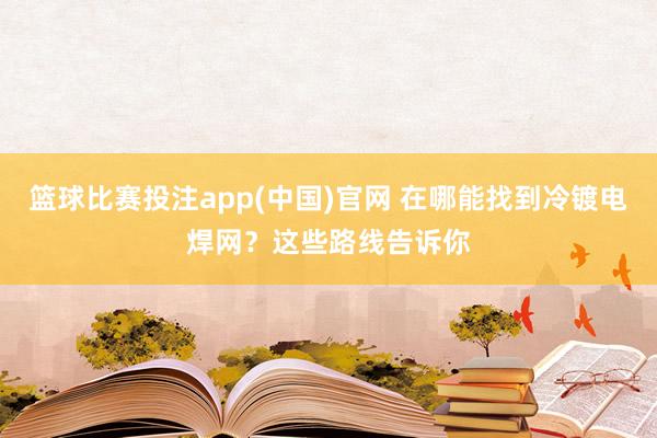 篮球比赛投注app(中国)官网 在哪能找到冷镀电焊网？这些路线告诉你