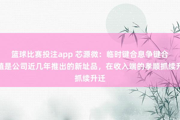 篮球比赛投注app 芯源微：临时键合息争键合莳植是公司近几年推出的新址品，在收入端的孝顺抓续升迁
