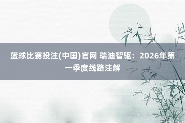篮球比赛投注(中国)官网 瑞迪智驱：2026年第一季度线路注解