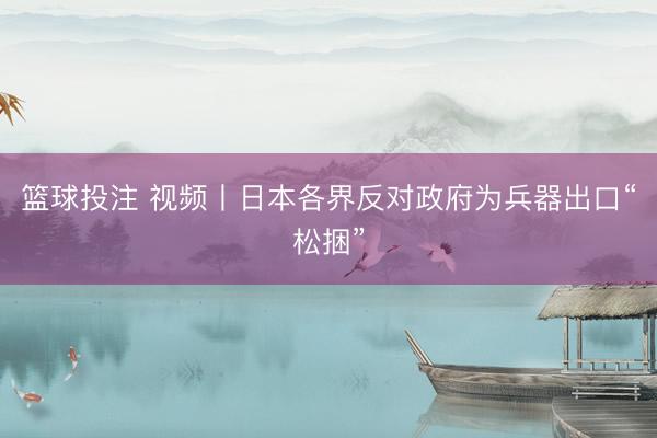 篮球投注 视频丨日本各界反对政府为兵器出口“松捆”