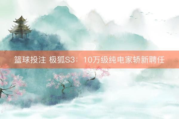 篮球投注 极狐S3：10万级纯电家轿新聘任